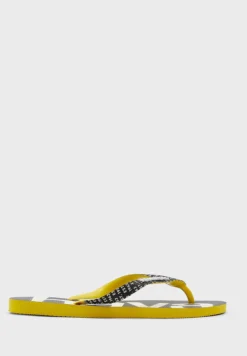 Havaianas Logo Flip Flops